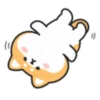 Cute lovely dog (Mov) 24