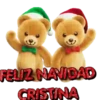 FELICITACIONES NAVIDAD 21