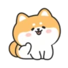 Cute lovely dog (Mov) 25