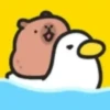 Capibara cute 1 MOV. 19
