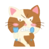 Gatinho engraçado 10