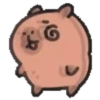Capibara cute 2 MOV. 20