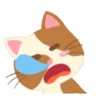 Gatinho engraçado 11