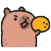 Capibara cute 1 MOV. 20