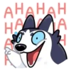 Siberian Husky 13