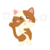 Gatinho engraçado 13