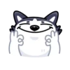 Siberian Husky 14