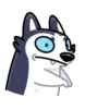 Siberian Husky 15