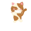 Gatinho engraçado 15
