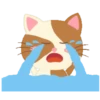 Gatinho engraçado 16