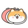 Cute lovely dog (Mov) 26