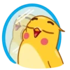 Yellow Boy 17