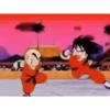 Goku 27