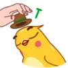 Yellow Boy 19
