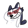 Siberian Husky 18