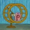 Bob Esponja & Gary 26
