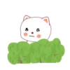 Cute Cats    (Mov) 27
