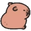 Capibara cute 2 MOV. 23