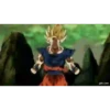 Goku 28