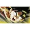 Goku 29