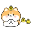 Cute lovely dog (Mov) 29