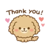 Cute dogs   (Mov) 29