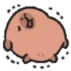 Capibara cute 2 MOV. 24