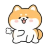 Cute lovely dog (Mov) 30
