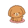 Cute dogs   (Mov) 30