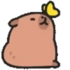 Capibara cute 1 MOV. 22