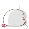 ️Funy Cat  MOV 2