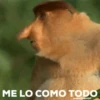 monitos 10