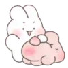 Cream puff bunny rabbit(2) 7