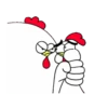 Chicken Bro 8