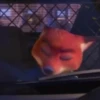 Zootopia ️ 9