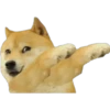 Perritos 1.0 10