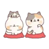 Family Meow   Mov 6