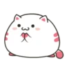 ️Funy Cat  MOV 4