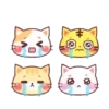 Meow Funny    Mov 12