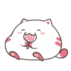 ️Funy Cat  MOV 5