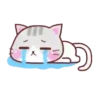 Meow Funny    Mov 15