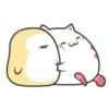 ️Funy Cat  MOV 6