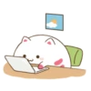 ️Funy Cat  MOV 7