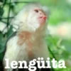 monitos 18