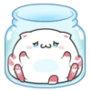 ️Funy Cat  MOV 8