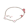 ️Funy Cat  MOV 9