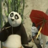 Kung Fu Panda 9