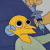 ● Los Simpson 12 Mov. ● 17