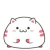 ️Funy Cat  MOV 11