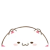 ️Funy Cat  MOV 12